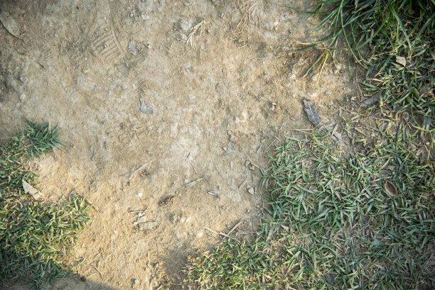 俯瞰绿色的草地和大地图片下载