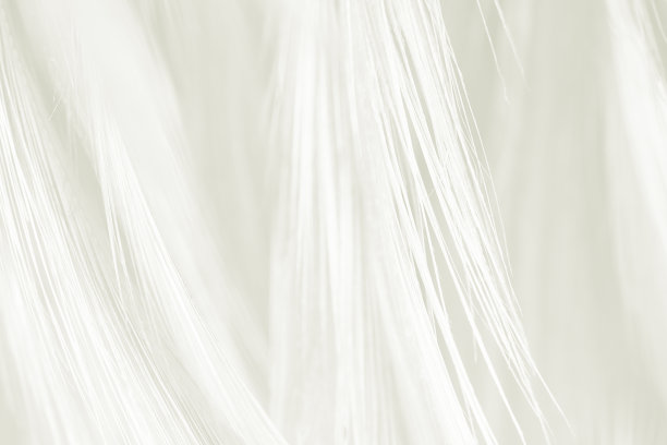 美丽的模糊白色-棕色羽毛图案纹理背景图片下载