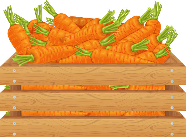 胡萝卜木盒里装着胡萝卜图片下载