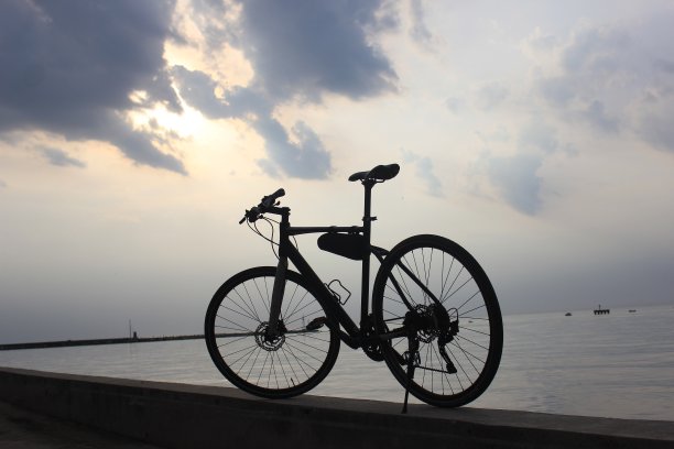 在汗湿的沙滩上骑车图片下载