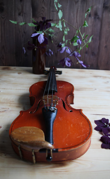 小提琴，木桌上棕色花瓶，紫色花朵图片下载