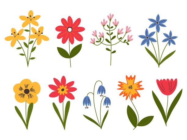 收集美丽的野生草本植物，草本开花植物，盛开的花，灌木和半灌木孤立在白色背景。手绘详细的植物矢量插图。每股收益图片下载