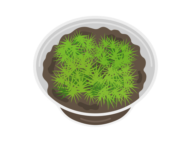 柏苔在一个箱子里的插图。图片下载