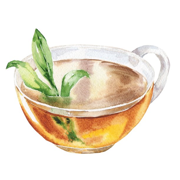 一杯白底薄荷茶。图片下载