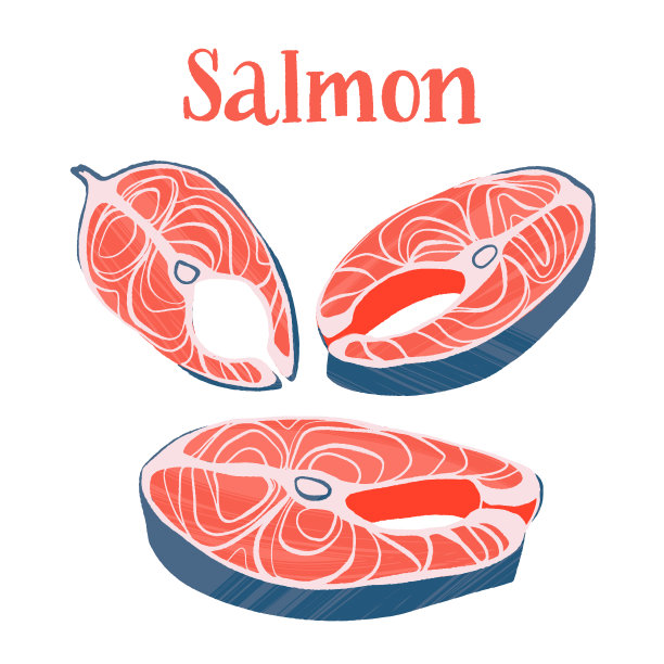 健康营养的产品。三文鱼生牛排。图片下载
