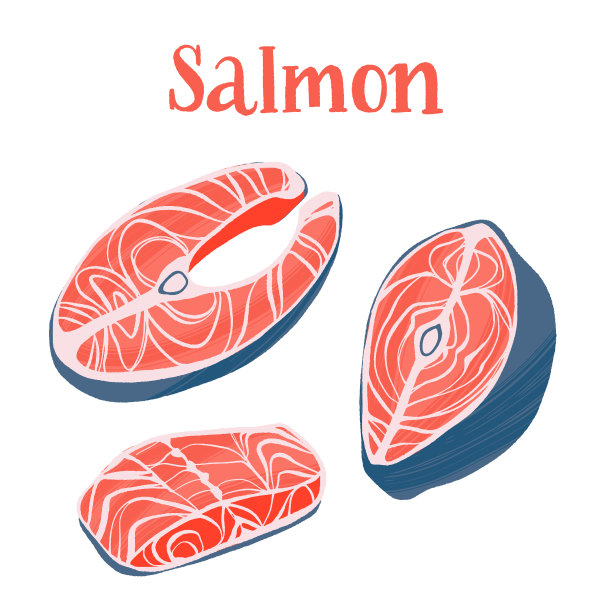 健康营养的产品。三文鱼生牛排和鱼片。图片下载