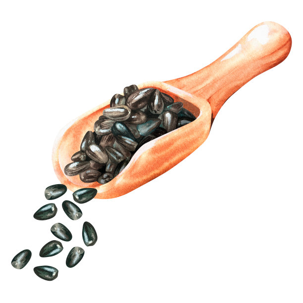葵花籽是从勺子里倒出来的。水彩插图。孤立在白色背景上。图片下载