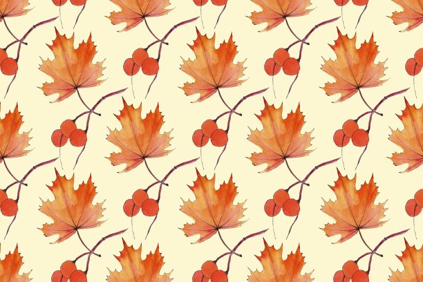 秋天的背景。用叶子和浆果缝花的图案。水彩手绘插画图片下载