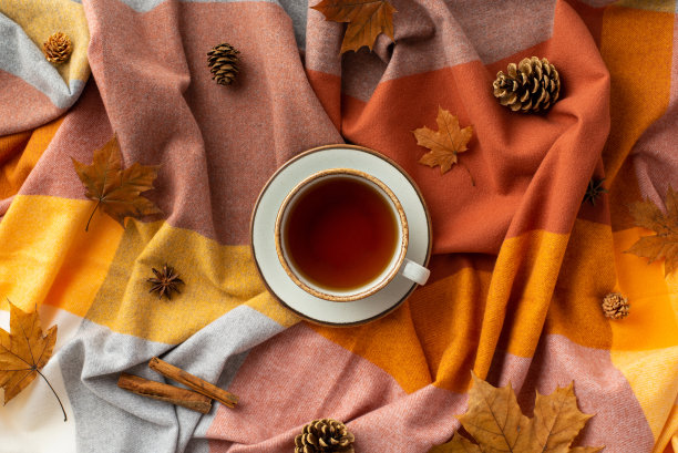 秋天情绪的概念。顶视图照片的茶杯茶碟肉桂棒茴芹落叶枫叶和松果在格子围巾的背景图片下载