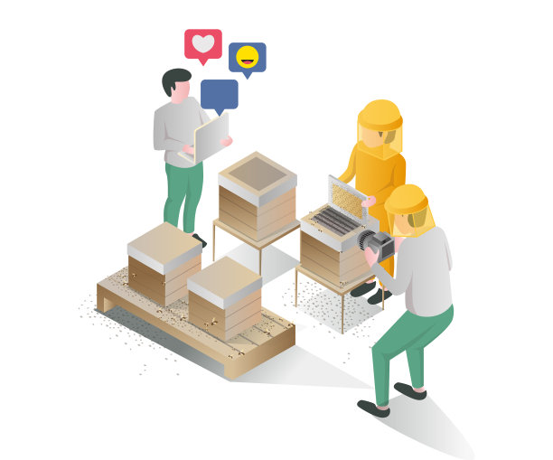 拍下采蜜过程的照片图片下载