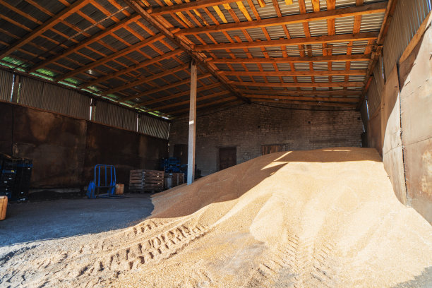 粮食在仓库储存。谷仓里面堆着生小麦。农业产业图片下载