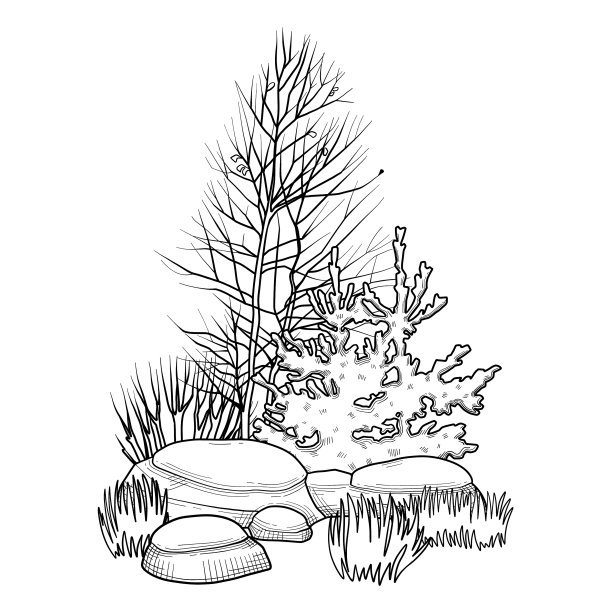 收藏图形植物、石头和山脉图片下载