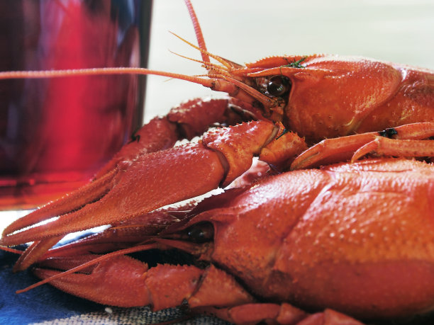 海味鲜美，美味健康的天然食品。图片下载