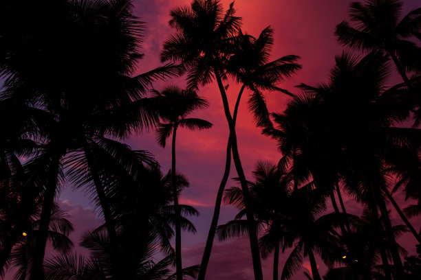 波多黎各度假胜地的日落图片下载