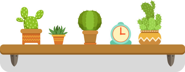 仙人掌放在架子上，绿色的室内植物放在墙上图片下载