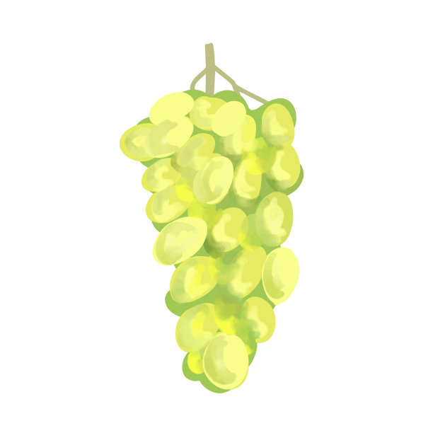 黄葡萄的，孤立在白色上图片下载