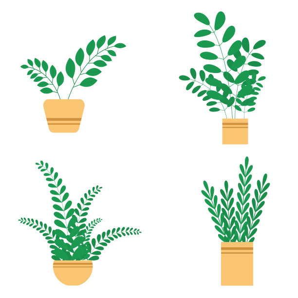 把室内植物和花卉放在陶瓷花盆里图片下载