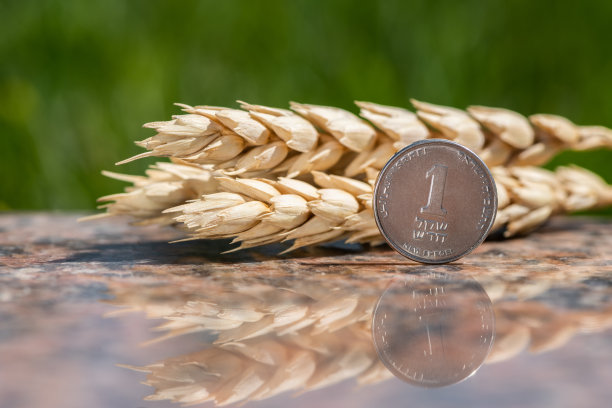 1以色列谢克尔硬币图片下载