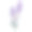 薰衣草花颜色描质高图片下载