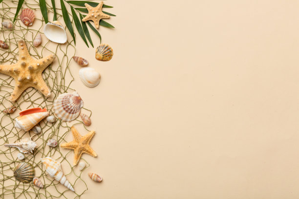 夏天的时间概念平面布局组成与美丽的海星和海贝在彩色的桌子，顶部视图与复制空间的文本图片下载