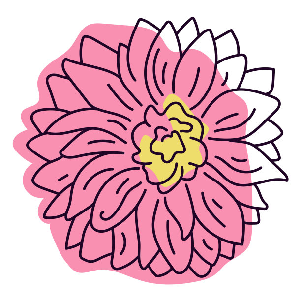 粉红色的睡莲花颜色描质高图片下载