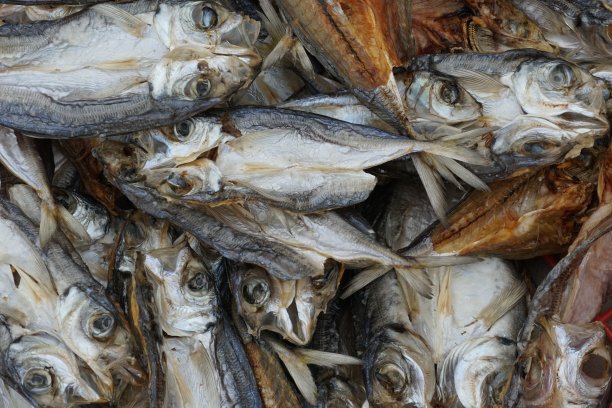 近距离观察无内脏堆积在盒子里的干鱼。图片下载