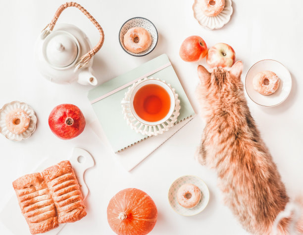 秋天的生活方式，白色的茶壶，姜猫，小南瓜，糕点，迷你甜甜圈，红苹果和一杯茶在空白的笔记本和白色背景的相册。图片下载