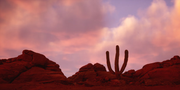 日出时多云天空下的孤零零仙人掌干旱砂岩景观. 3D渲染。图片下载