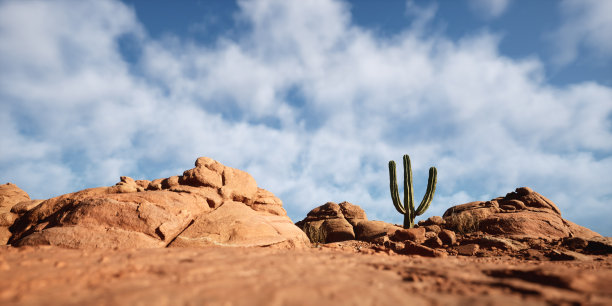 在晴朗的日子里，蓝色多云的天空下，干旱的砂岩景观中孤独的仙人掌。3 d渲染。图片下载