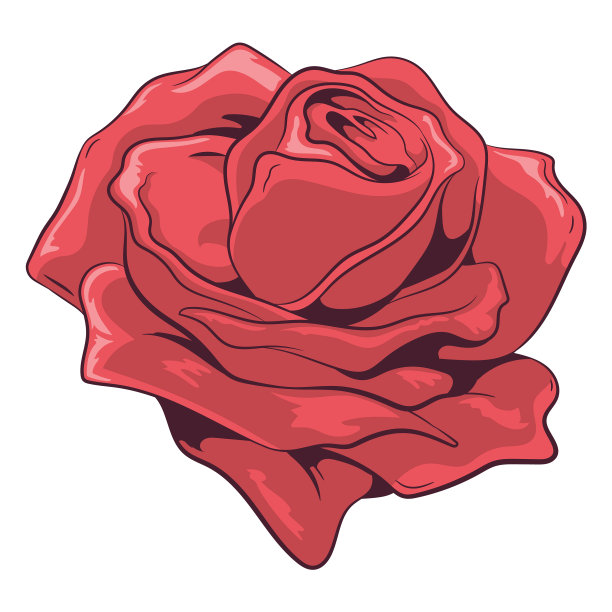 可爱的玫瑰高品质图片下载