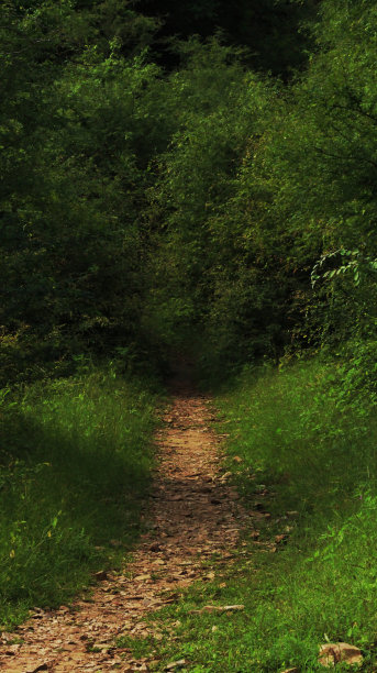 成功的路径图片下载