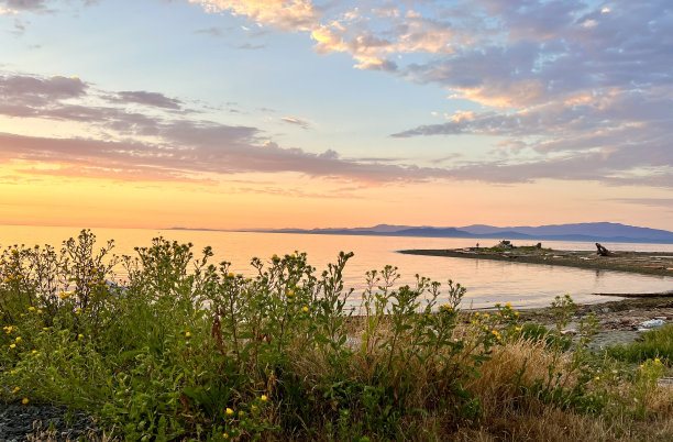 美丽的日落在太平洋的背景广告旅行墙画放松冥想河流被太阳照耀假日海展开明亮的颜色饱和油漆空白图片下载