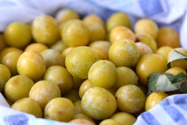 横向照片特写夏天的水果。收获黄梅，做烹饪和甜点。派和果酱图片下载