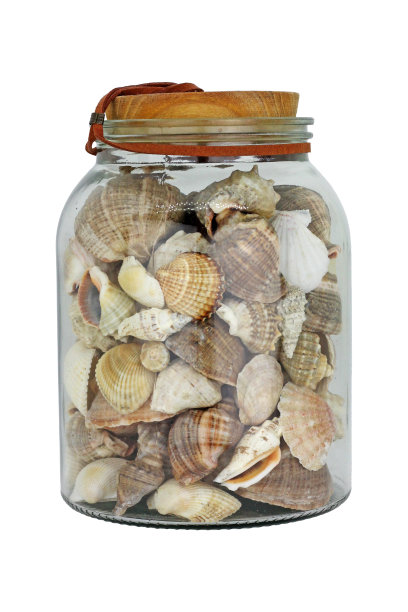白色背景的瓶子里的贝壳。图片下载