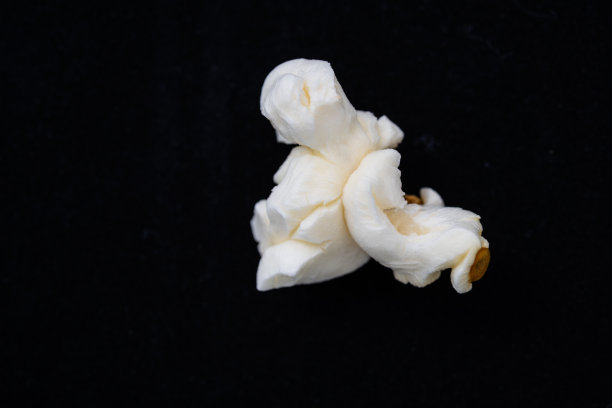 孤立的极端特写单爆米花照片，一个图像不规则的数字爆米花在黑色背景。图片下载