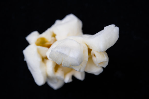 极端近距离的一个单一的爆米花与非常详细的黑色背景，一个孤立的爆米花的图像。图片下载