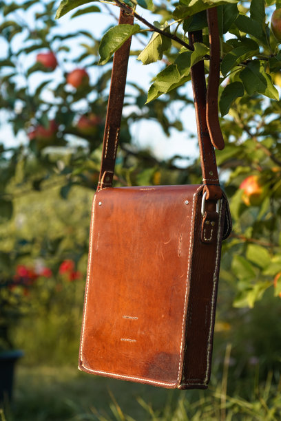 一个小的复古皮革包手提包的情况下，复古金属扣件与存储隔间肩带腰带猎人设备侦察器具医生老师学生侧面看法正面细节图片下载