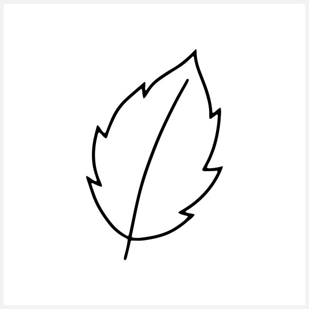 叶图标孤立。Eco剪辑艺术。着色页书。矢量插图。每股收益10图片下载