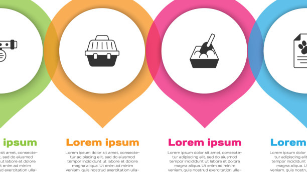 设置衣领与名牌宠物携带案件猫图片下载