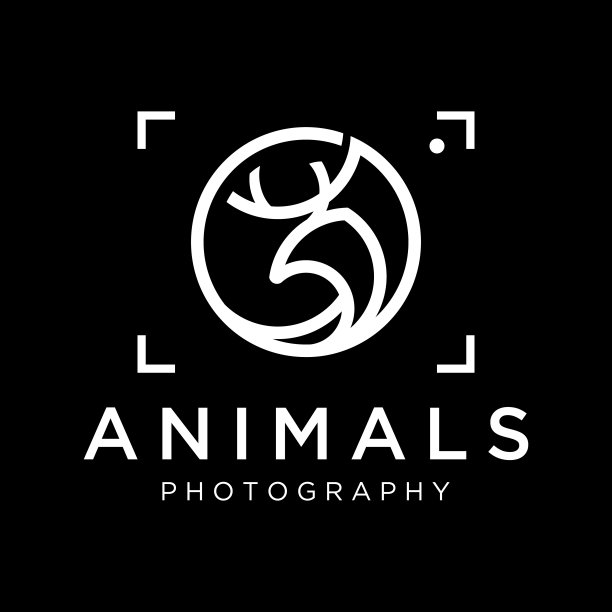 动物摄影狩猎视频野生动物符号设计向量图片下载