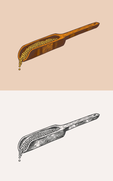 芥末种子或辛辣调味品。木铲或木勺。复古背景或海报的插图。刻字手绘草图。图片下载