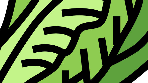 生菜卷心菜颜色图标图片下载