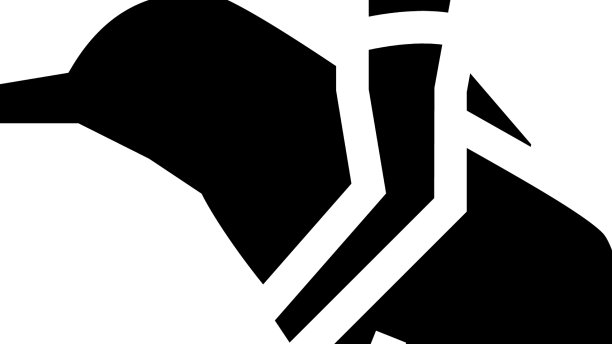 牛仔竞技极限运动字形图标图片下载