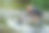 忧心忡忡的女子从水中拔出笔记本电脑，称其掉进河里，远程假期工作意外图片下载