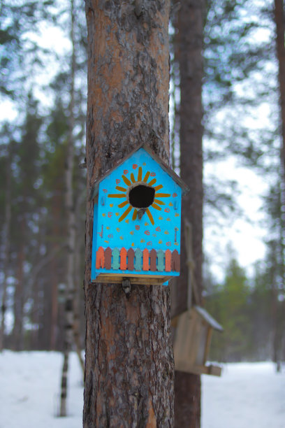 树上的鸟屋，特写，手工制作。冬天画在树干上的木制喂鸟器。垂直的照片。图片下载
