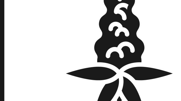 黑色羽扇豆花图标孤立在白色上图片下载