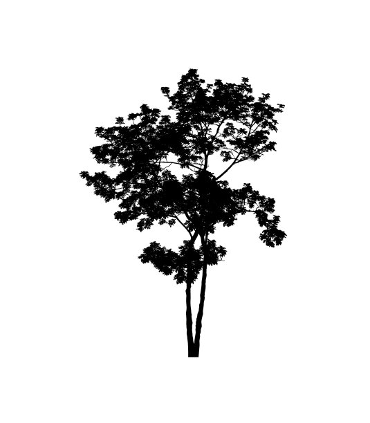 孤立的树剪影刷在白色背景图片下载