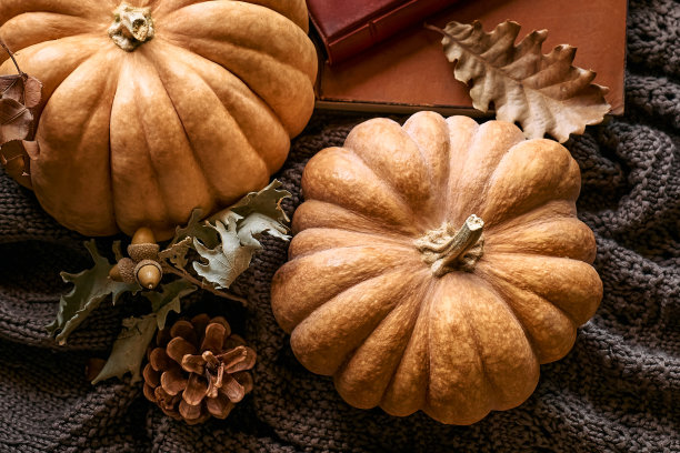 舒适的秋天静物南瓜，针织羊毛衫和书在窗台上。秋天的家居装饰。舒适的心情。秋天的阅读。感恩节。万圣节。图片下载