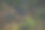 休息豹图片下载