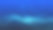 蜘蛛网的抽象背景。粒子的动态波。大数据。3 d渲染。图片下载